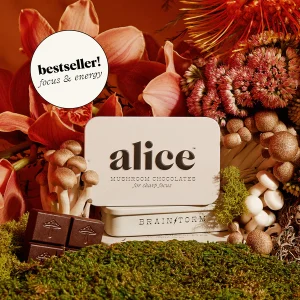 Alice Brainstorm Mushroom Chocolates