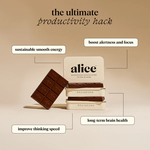 Alice Brainstorm Mushroom Chocolates - Image 3