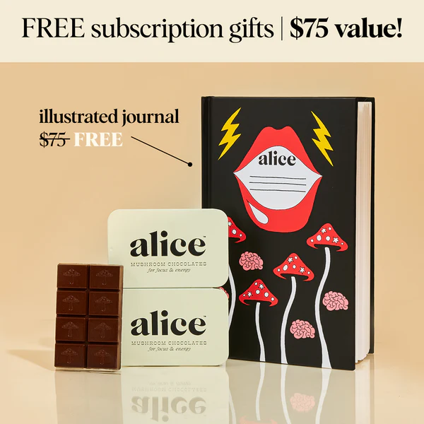 Alice Brainstorm Mushroom Chocolates - Image 2