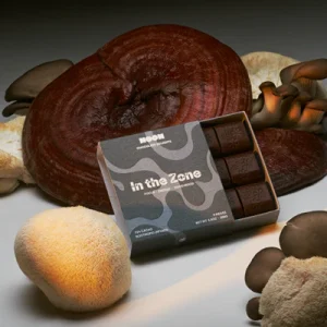 in the zone mushroom chocolate